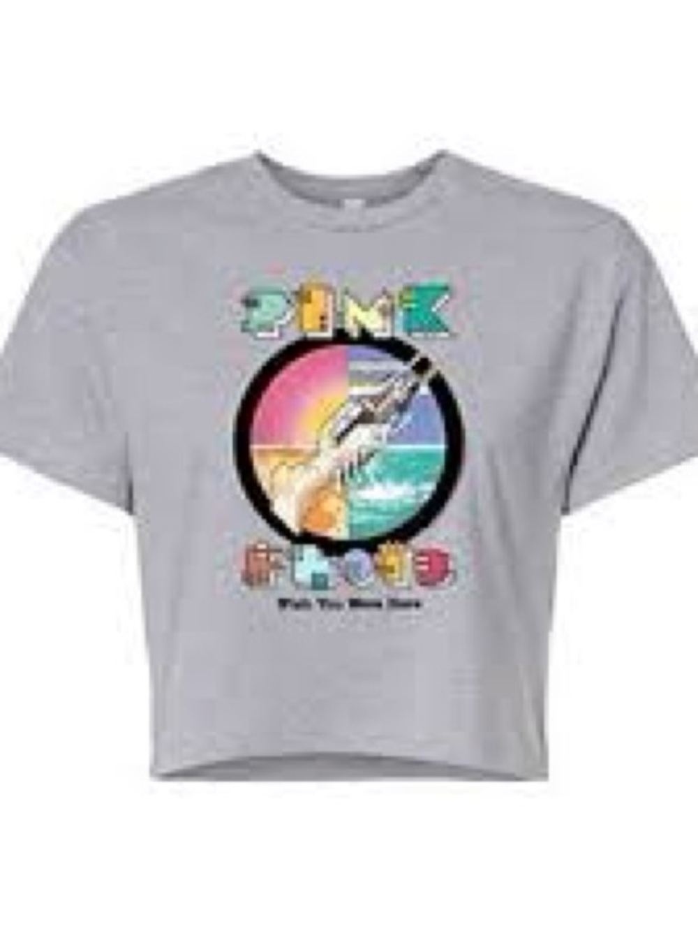 PINK FLOYD Wish You Where Here gray Graphic Band Crop T-Shirt